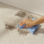Rejuvenate Carpet & Upholstery Spot Remover Stain Cleaner Bio-Enzymatic Professional Strength Urine Remover Dog Cat Stain and Pet Odor Eliminator Ready-to-Use