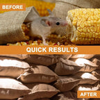 ANEWNICE Peppermint Oil Rodent Repellent - Repels Mice, Rats and Rodents - For House, Car, RV - Indoor and Outdoor Use - 10 Packs