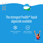 Poolife Super Algae Bomb Polyquat 60 Algaecide - Fast-Acting, Non-Foaming Pool Algaecide for Green, Black, Mustard Algae - Ideal for Spas & Fountains & Winterizing - 1 qt Liquid with Long Protection