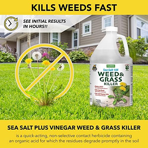 Harris 10X Sea Salt & Vinegar Weed and Grass Killer, Pet Safe, Kills to The Root with Spray Trigger, 128oz