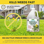 Harris 10X Sea Salt & Vinegar Weed and Grass Killer, Pet Safe, Kills to The Root with Spray Trigger, 128oz