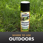 Spectracide Terminate Termite Killing Foam, Kills Exposed Subterranean, Drywood and Dampwood Termites On Contact, for Insects, 16 fl Ounce