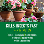Natria Houseplant Insect Killer, Ready-to-Use, 24 oz