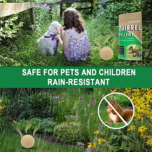 SUAVEC Squirrel Repellent, Chipmunk Repellent Outdoor, Squirrels Repellent for Garden, Squirrel Deterrent Mint, Outdoor Repellent Squirrels for Attic, Keep Squirrel Away for Plant-8 Pack