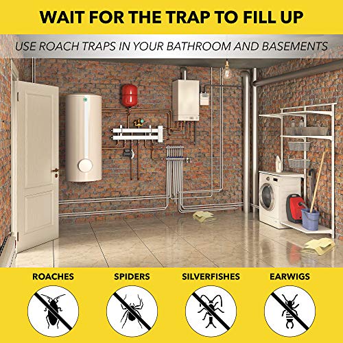 HARRIS Roach Glue Traps, Non Toxic (10-Pack)