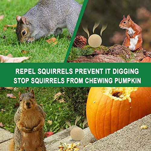 SUAVEC Squirrel Repellent, Chipmunk Repellent Outdoor, Squirrels Repellent for Garden, Squirrel Deterrent Mint, Outdoor Repellent Squirrels for Attic, Keep Squirrel Away for Plant-8 Pack