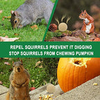 SUAVEC Squirrel Repellent, Chipmunk Repellent Outdoor, Squirrels Repellent for Garden, Squirrel Deterrent Mint, Outdoor Repellent Squirrels for Attic, Keep Squirrel Away for Plant-8 Pack
