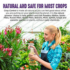 Trifecta Crop Control Ready to Use Maximum Strength Natural Pesticide, Fungicide, Miticide, Insecticide, Help Defeat Spider Mites, Powdery Mildew, Botrytis and Mold on Plants 16 OZ Size