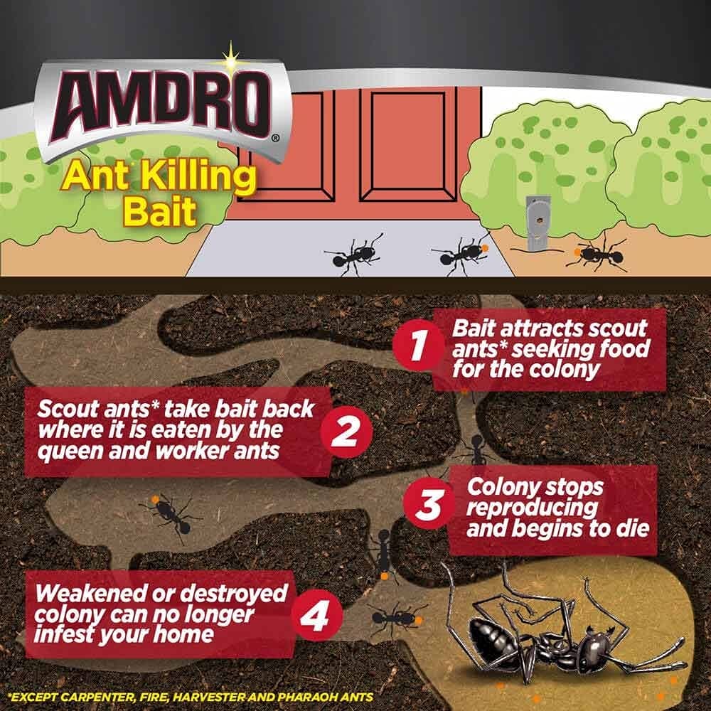 Amdro Kills Ants Ant Bait 0.16 oz.