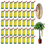 40 Pack Fly Strips Indoor Sticky Hanging, Fly Paper Fly Traps Indoors Outdoor, Fly Tape Catcher Ribbon for Home, Fruit Fly Gnat Trap Killer
