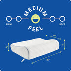 SEALY Dreamlife Standard Size Contour Memory Foam Pillow with Surface Guard Technology, Removable Machine-Washable Cover, 1 Year Limited Warranty