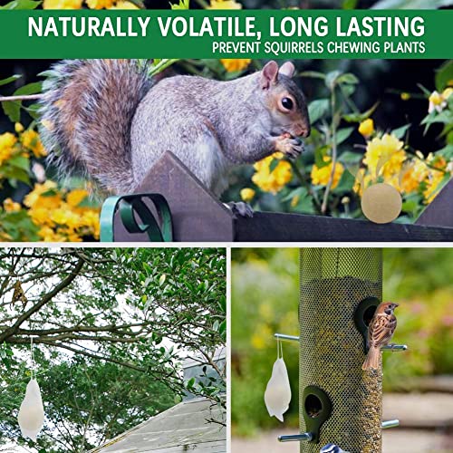 SUAVEC Squirrel Repellent Outdoor, Chipmunk Repellent, Squirrels Repellent for Garden, Squirrel Deterrent Mint, Indoor Repellent Squirrels for Attic, Keep Squirrel Away for Bird Feeders/Plants-8P