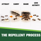Ant Repellent Indoor Pet Safe, Ant Repellent Outdoor, Get Rid of Ant, Keeps Ants Away, Ant Deterrent for Home, Protects up to 120 sq ft, Natural Ingredients, People/Pet/Plant Friendly- 4P