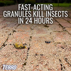 TERRO T901SR Ant Killer Plus Multi-Purpose Insect Control for Outdoors - Kills Fire Ants, Fleas, Cockroaches, and Other Crawling Insects - 2 Pack, Granule
