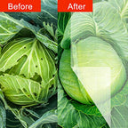 Agfabric Garden Netting 10'x50' Insect Pest Barrier Bird Netting for Garden Protection,Row Cover Mesh Netting for Vegetables Fruit Trees and Plants,White