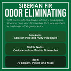 Siberian Fir Two Pack Odor Eliminating Highly Fragranced Candle - Eliminates 95% of Pet, Smoke, Food, and Other Smells Quickly - Up to 80 Hour Burn time - 12 Ounce Premium Soy Blend