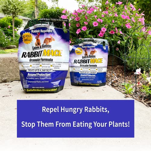 Nature's MACE Rabbit Repellent 3lb Granular/Treats 1,350 Sq. Ft. / Rabbit Repellent and Deterrent/Keep Rabbits Out of Your Lawn and Garden/Safe to use Around Children & Plants