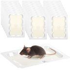 Qualirey 24 Pack Baited Glue Traps Sticky Mouse Trap Rat Traps Indoor Rodent Killer Baited Trays Rat Mouse Exterminator Plastic Sticky Non Toxic Mice Trap for Home Indoor Outdoor Mice Rats Rodent