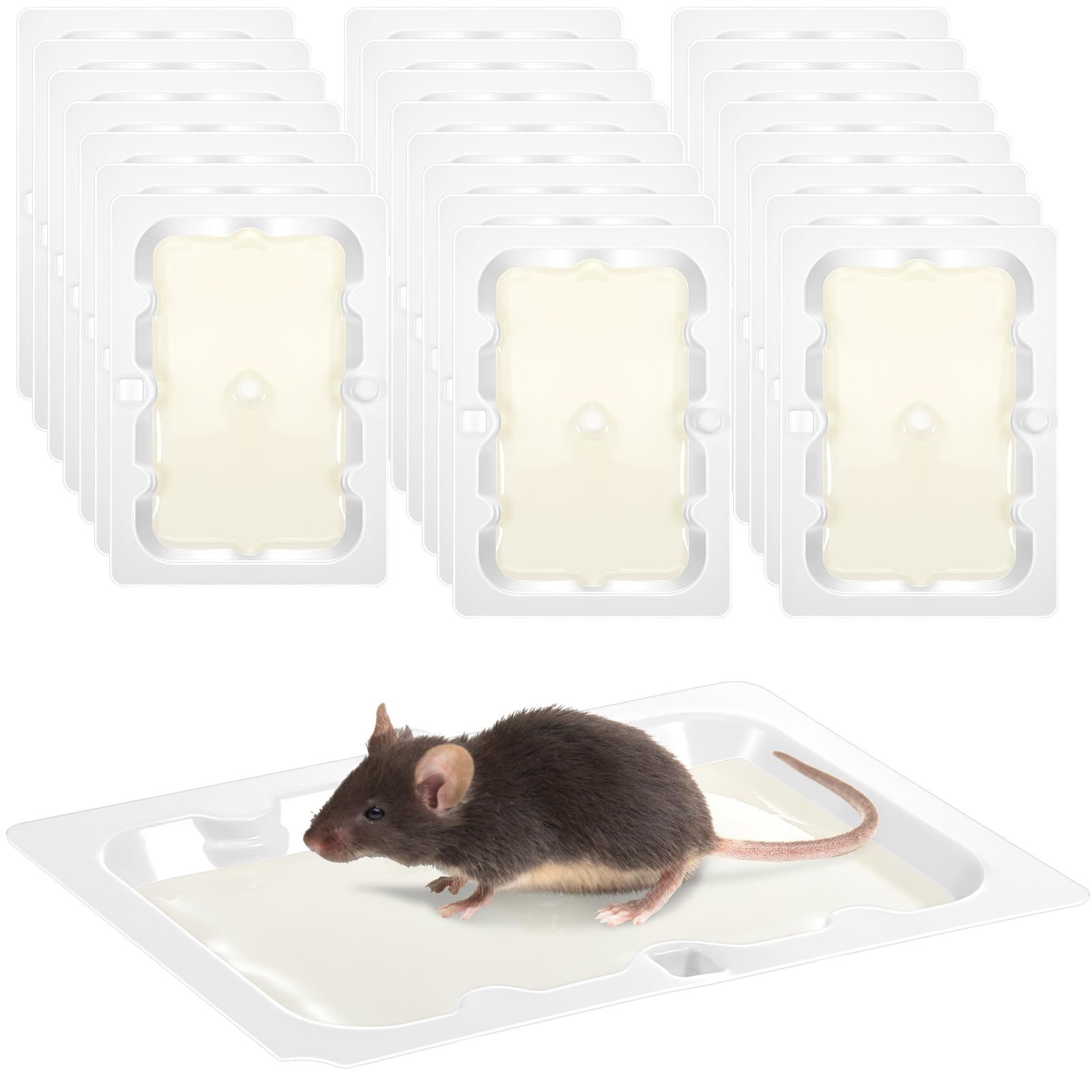 Qualirey 24 Pack Baited Glue Traps Sticky Mouse Trap Rat Traps Indoor Rodent Killer Baited Trays Rat Mouse Exterminator Plastic Sticky Non Toxic Mice Trap for Home Indoor Outdoor Mice Rats Rodent