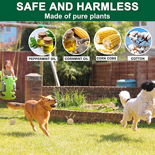 TSCTBA Rodent Repellent Indoor and Outdoor, Natural Mouse Repellent, Pest Control, Mice Repellent for House,Peppermint to Repel Mice, Mouse and Rats, New Upgrade and Really Effective - 8 Packs