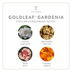 Thymes Goldleaf Gardenia Pura Smart Home Plug-in Diffuser Refills - Pack of 2