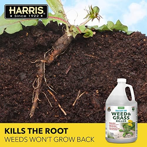 Harris 10X Sea Salt & Vinegar Weed and Grass Killer, Pet Safe, Kills to The Root with Spray Trigger, 128oz