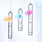 AODERUM Hanging Glass Planter Water Iron Art Hydroponic Vase Transparent Test Tube Flower Hanging Bottle Home Decoration (3pcs-S,M,L)