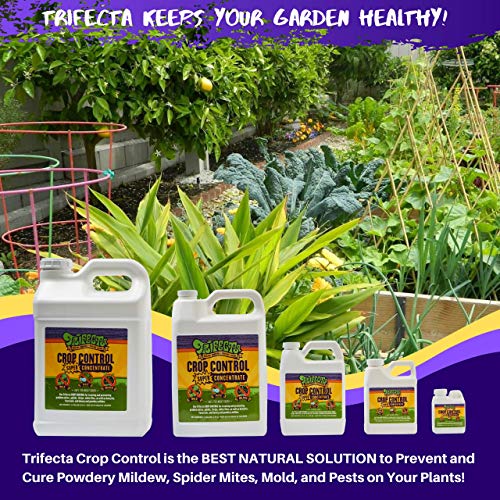 Trifecta Crop Control Super Concentrate All-in-One Natural Pesticide, Fungicide, Miticide, Insecticide, Help Defeat Spider Mites, Powdery Mildew, Botrytis, Mold and More on Plants 32 OZ