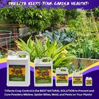 Trifecta Crop Control Super Concentrate All-in-One Natural Pesticide, Fungicide, Miticide, Insecticide, Help Defeat Spider Mites, Powdery Mildew, Botrytis, Mold and More on Plants 32 OZ