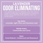 Lavender 2 Pack Odor Eliminating Highly Fragranced Candle - Eliminates 95% of Pet, Smoke, Food, and Other Smells Quickly - Up to 80 Hour Burn time - 12 Ounce Premium Soy Blend