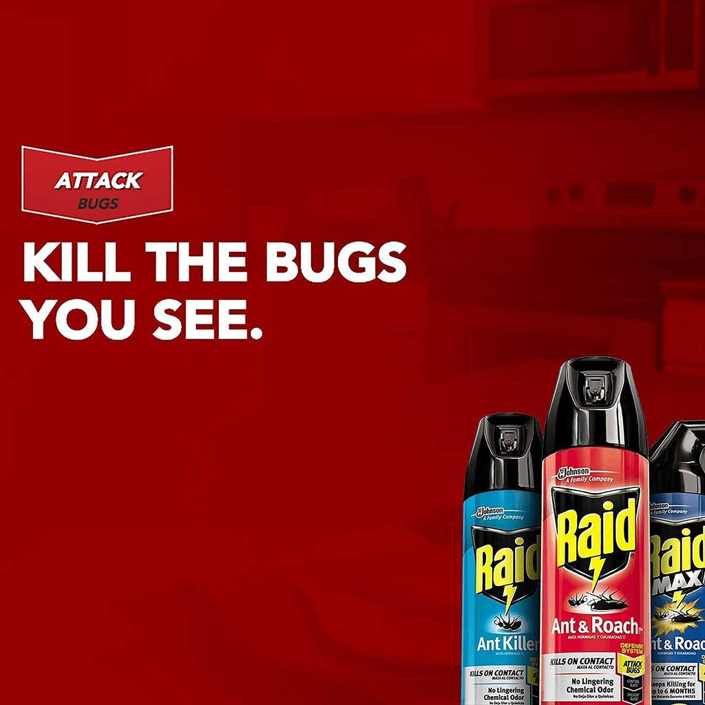 Raid Ant and Roach Killer 17.5 Ounce (Pack of 3)
