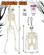 5 Pack Skeletons Halloween Decorations,16in Full Body Posable Joints Halloween Skeleton Decor with 22 Spiders& Cobweb Outdoor Halloween Decorations Indoor Spooky Party Props Halloween Tree Decors