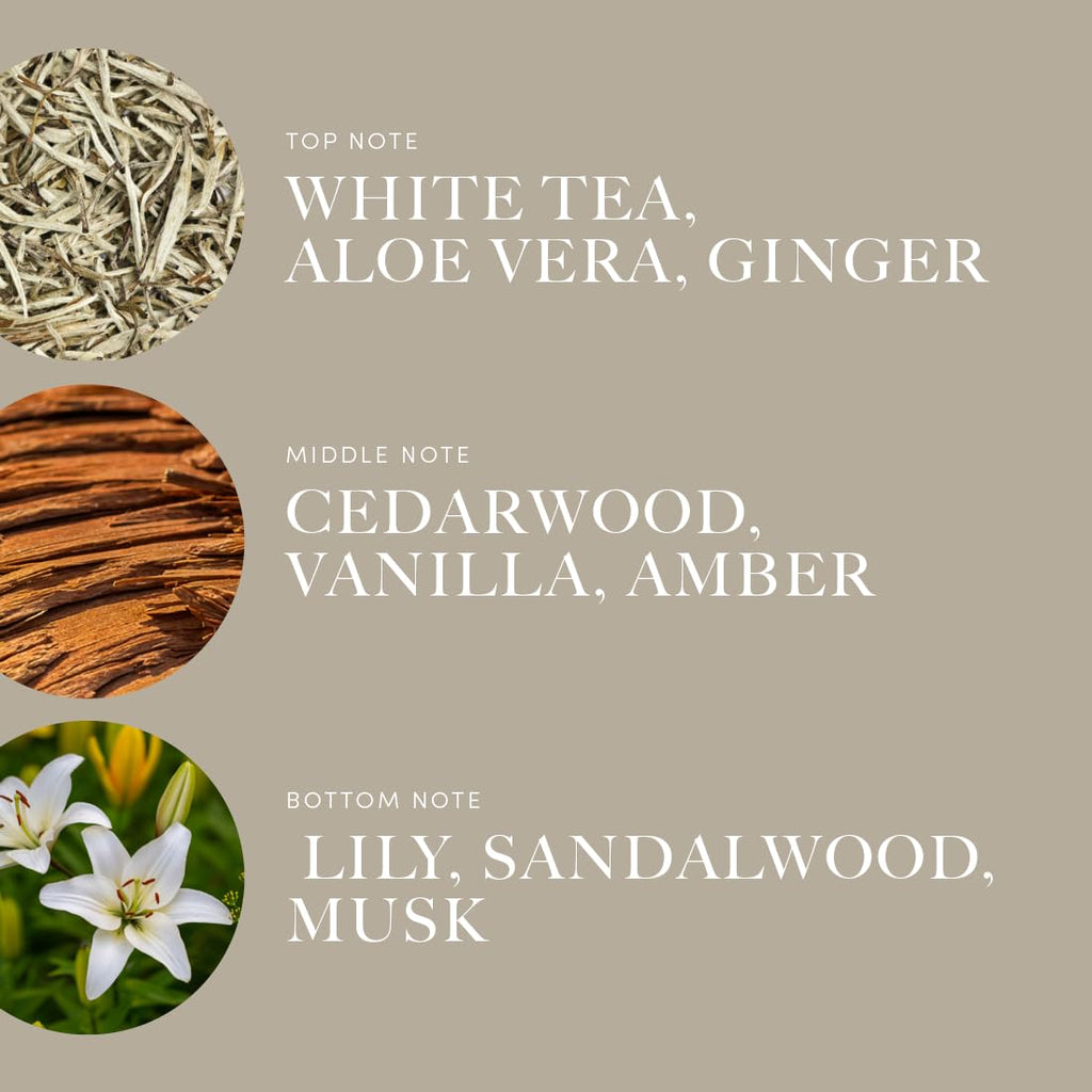 Aroma360 - Dream On Fragrance Oil Blend | Hotel Inspired for Luxury Essential Oil Diffusers | Aromatherapy Scent Diffuser Oil | Serene White Tea, Healing Aloe Vera, and Warm Earthy Cedar. - 120ML
