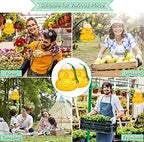 Wasp Trap Bee Traps Catcher, Wasp Traps Outdoor Hanging, Wasp Repellent Trap Deterrent Killer Insect Catcher, Non-Toxic Reusable Yellow Jacket Trap (Orange, 2 Pack)