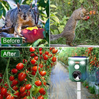 Solar Ultrasonic Animal Repeller - Cat Coyote Deterrent Outdoor, Squirrel Deer Dog Repellent with Motion Detection & Flashlight & Ultrasonic Sound, Keep Cats Skunk Rabbit Fox Out of Yard Permanently