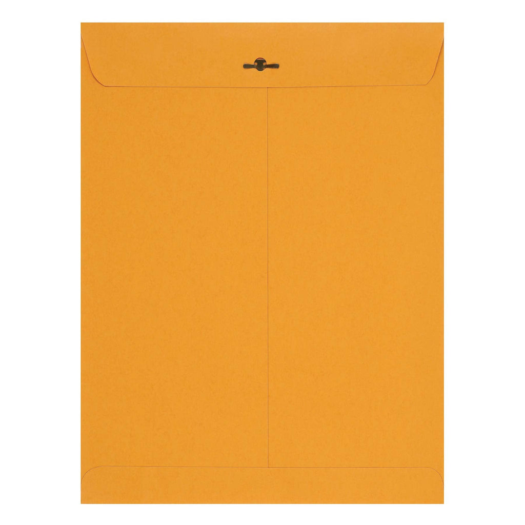 Amazon Basics 9 x 12-Inch Clasp Kraft Envelopes, Gummed, 100-Pack