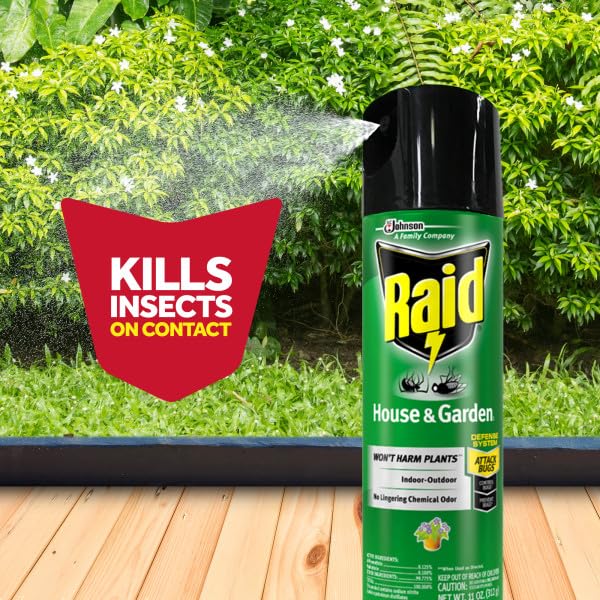 Raid House and Garden Insect Killer Insecticide Aerosol Spray - 11 Oz. (Pack of 3)