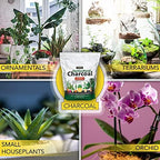 Harris Horticultural Charcoal, Premium Biochar Soil Amendment for Plants and Terrariums, 2qt