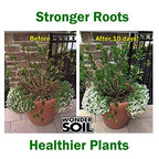 WONDER SOIL | Organic Coco Coir Brick | The Only Ready to Plant Compressed Coco Coir Fully Loaded with Nutrients | 3 Bricks Expands to 7.5 Gallons | Incl Worm Castings & Nutrients | 3 Pack