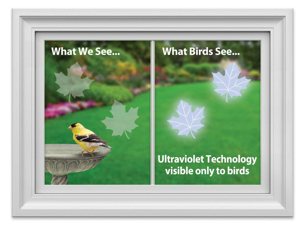 WindowAlert Maple Leaf Anti-Collision Decal - UV-Reflective Window Decal to Protect Wild Birds from Glass Collisions 2-Pack - Made in The USA