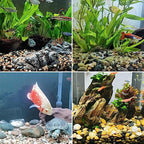 SHIZWU 10LB Aquarium Gravel, 1/4" Pea Gravel for Fish Tank, Small River Rocks for Garden Decoration, Landscaping, Vase Filling, Flower Pot Paving