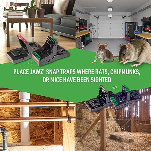 JT Eaton 410BULK Jawz Plastic Rat Trap, for Solid or Liquid Bait (Pack of 12)