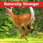 I Must Garden Deer, Rabbit and Groundhog Repellent: All-Weather Granular Formula – 5 lb. Bag