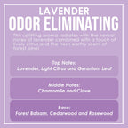 Lavender Odor Eliminating Highly Fragranced Candle - Eliminates 95% of Pet, Smoke, Food, and Other Smells Quickly - Up to 80 Hour Burn time - 12 Ounce Premium Soy Blend