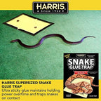 Harris Snake Glue Trap, Super Sized for Snakes, Rats, Mice and Insects (1-Pack)