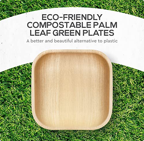 KoalaLove Palm Leaf Plates Bamboo Plates Disposable Square 8 inch 100 Bulk Party Pack Elegant Sturdy Design Better Than Paper and Plastic Plates (KoalaLove-PLP-8IN-100-Plates)