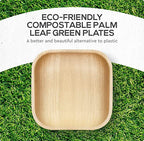 KoalaLove Palm Leaf Plates Bamboo Plates Disposable Square 8 inch 100 Bulk Party Pack Elegant Sturdy Design Better Than Paper and Plastic Plates (KoalaLove-PLP-8IN-100-Plates)