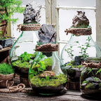 Terrarium Potting Soil Mix (8 Quarts), w/Blended Filtering Charcoal Custom Made for Terrariums