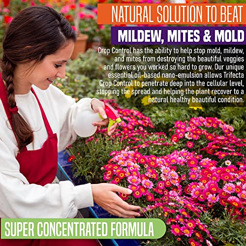 Trifecta Crop Control Super Concentrate All-in-One Natural Pesticide, Fungicide, Miticide, Insecticide, Help Defeat Spider Mites, Powdery Mildew, Botrytis, Mold and More on Plants 32 OZ
