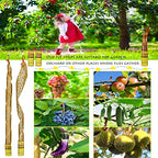 40 Rolls Fly Strips - Fly Tapes Fly Paper Sticky Fly Trap Indoor/Outdoor Hanging,Fly Catcher Fly Ribbon Fungus Gnat Trap Fruit Fly Killer for House/Kitchen/Plants/Horse Stable (40Roll)